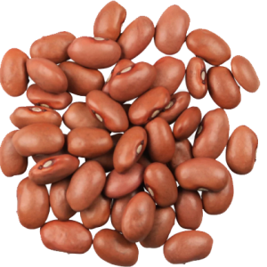 Sedita Beans