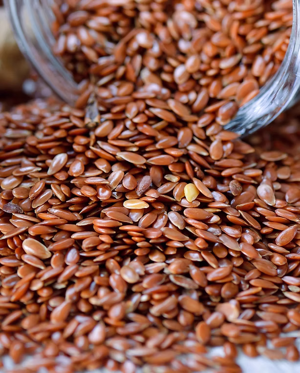 FOOD%20SAFETY%20MENTOR%20LLC